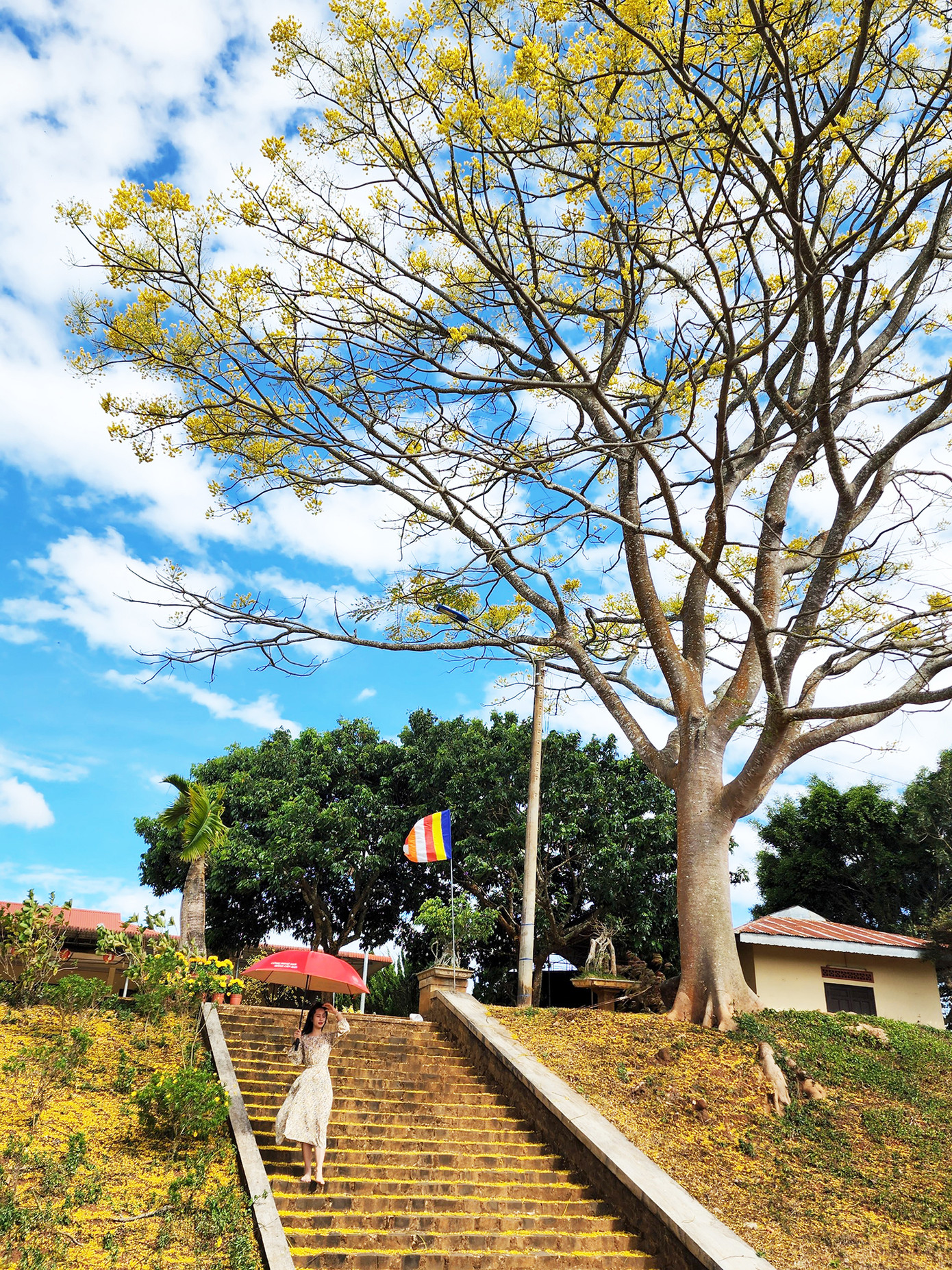 Viếng chùa Phổ Độ Viếng chùa Phổ Độ