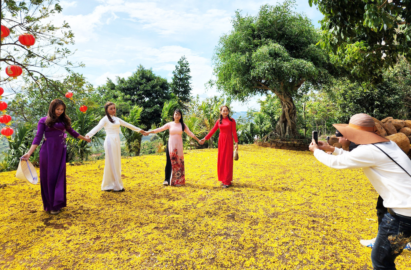 Du khách chụp ảnh lưu niệm cùng thảm hoa vàng Du khách chụp ảnh lưu niệm cùng thảm hoa vàng