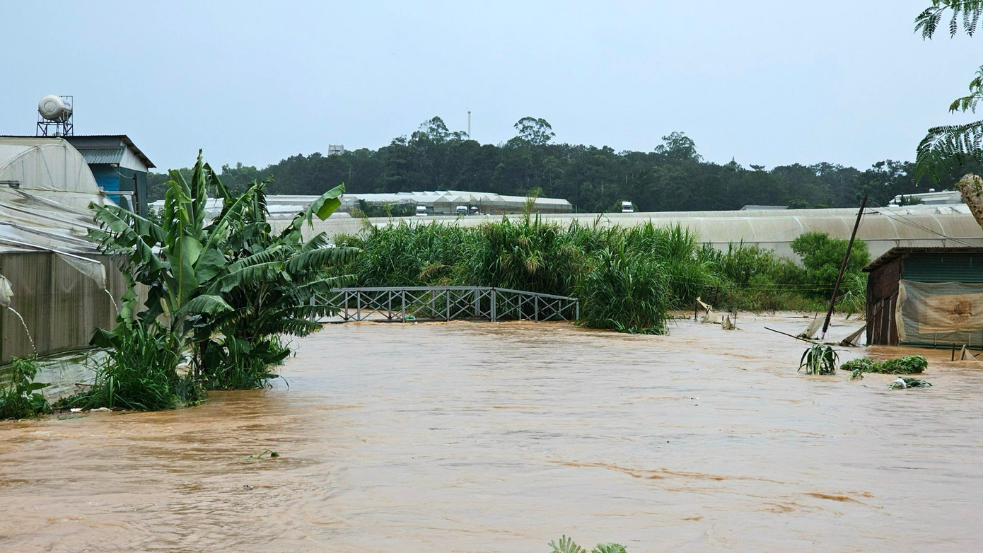 Nước suối tràn bờ gây ngập đường sá, nhà cửa, vườn tược.