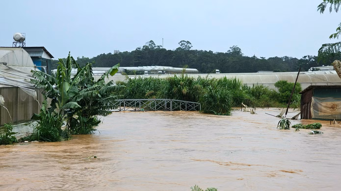 Nước suối tràn bờ gây ngập đường sá, nhà cửa, vườn tược. Nước suối tràn bờ gây ngập đường sá, nhà cửa, vườn tược.