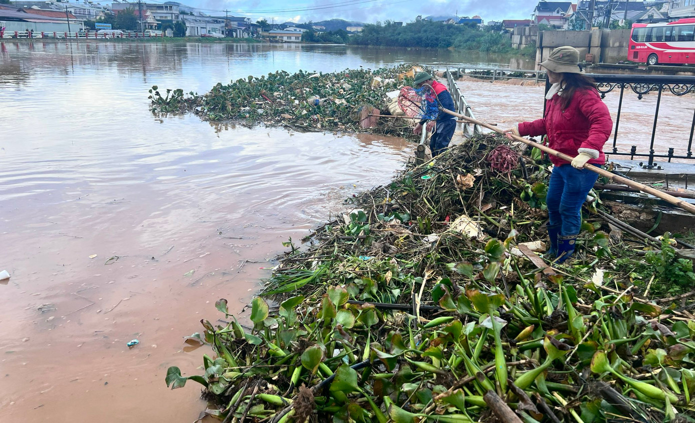 Một lượng lớn cỏ rác đổ về hồ nước ở nội ô TP. Đà Lạt.
