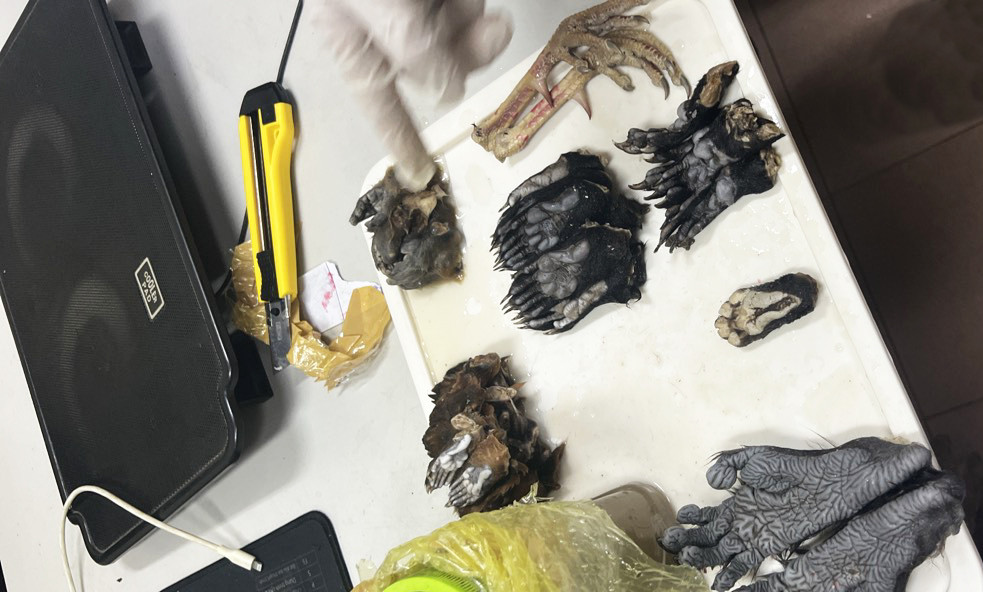 Một số tang vật của vụ án