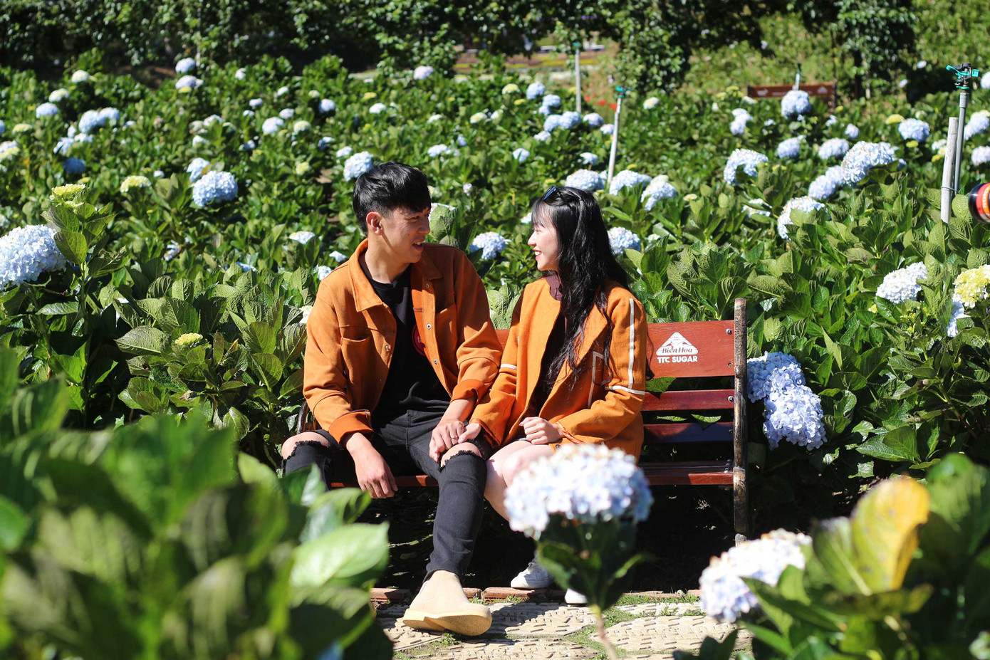 Check in trong vườn cẩm tú cầu Thung lũng tình yêu.