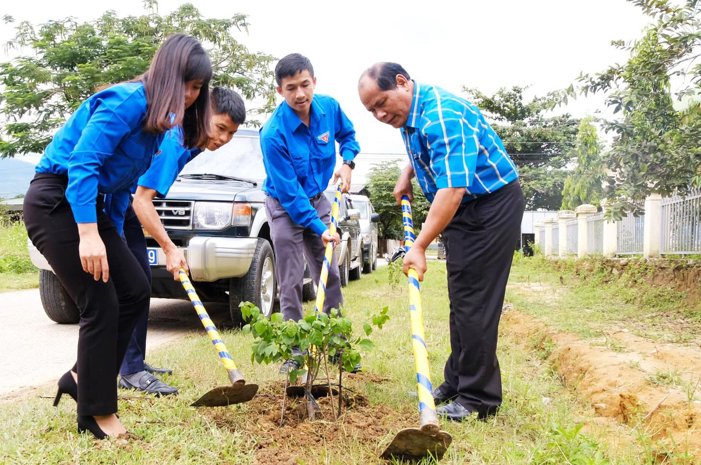 Trồng cây đường phố trong mùa hè xanh Trồng cây đường phố trong mùa hè xanh