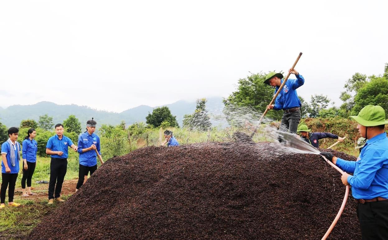 Sinh viên Đại học Đà Lạt đưa mô hình làm phân hữu cơ về nông thôn Sinh viên Đại học Đà Lạt đưa mô hình làm phân hữu cơ về nông thôn