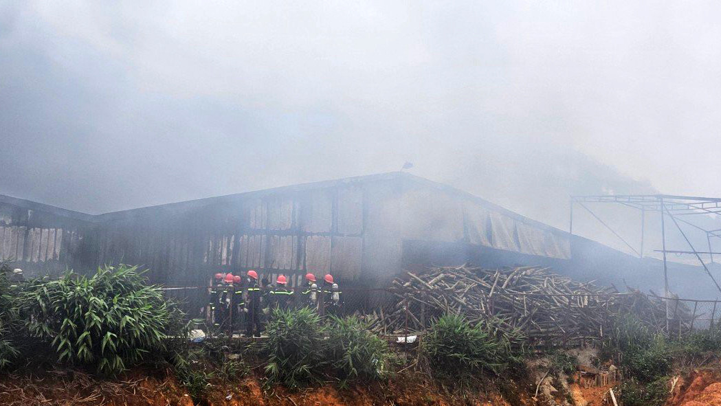 Nhà xưởng sản xuất nấm gần như bị thiêu rụi.