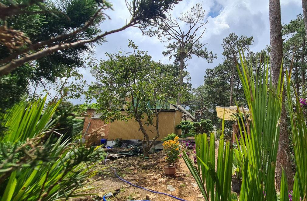 Ngôi nhà xây dựng trái phép