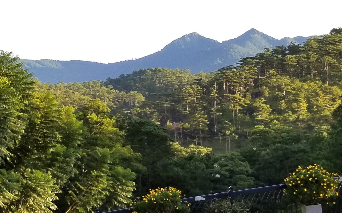 Núi Lang Biang là nơi BS Yersin khám phá ra Đà lạt Núi Lang Biang là nơi BS Yersin khám phá ra Đà lạt