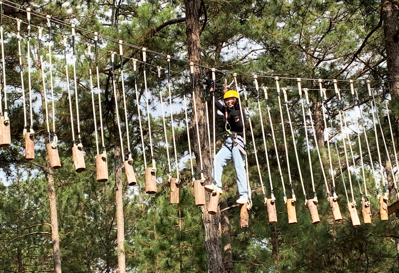 Hành trình trên cao trong rừng thông Thung lũng tình yêu Hành trình trên cao trong rừng thông Thung lũng tình yêu