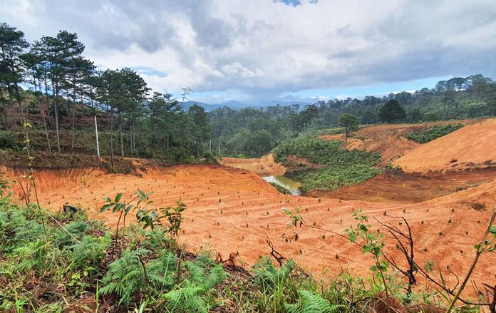 Lấn chiếm san ủi khu vực đất rừng bị đưa ra khỏi rừng khi điều chỉnh quy hoạch