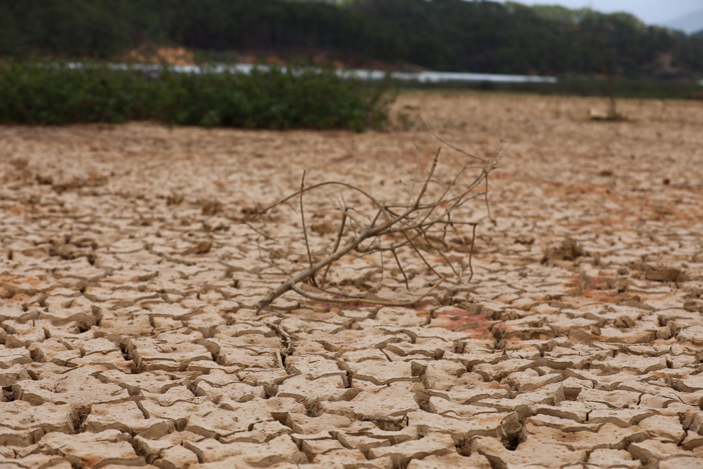 Lòng hồ cạn kiệt, đất nứt nẻ