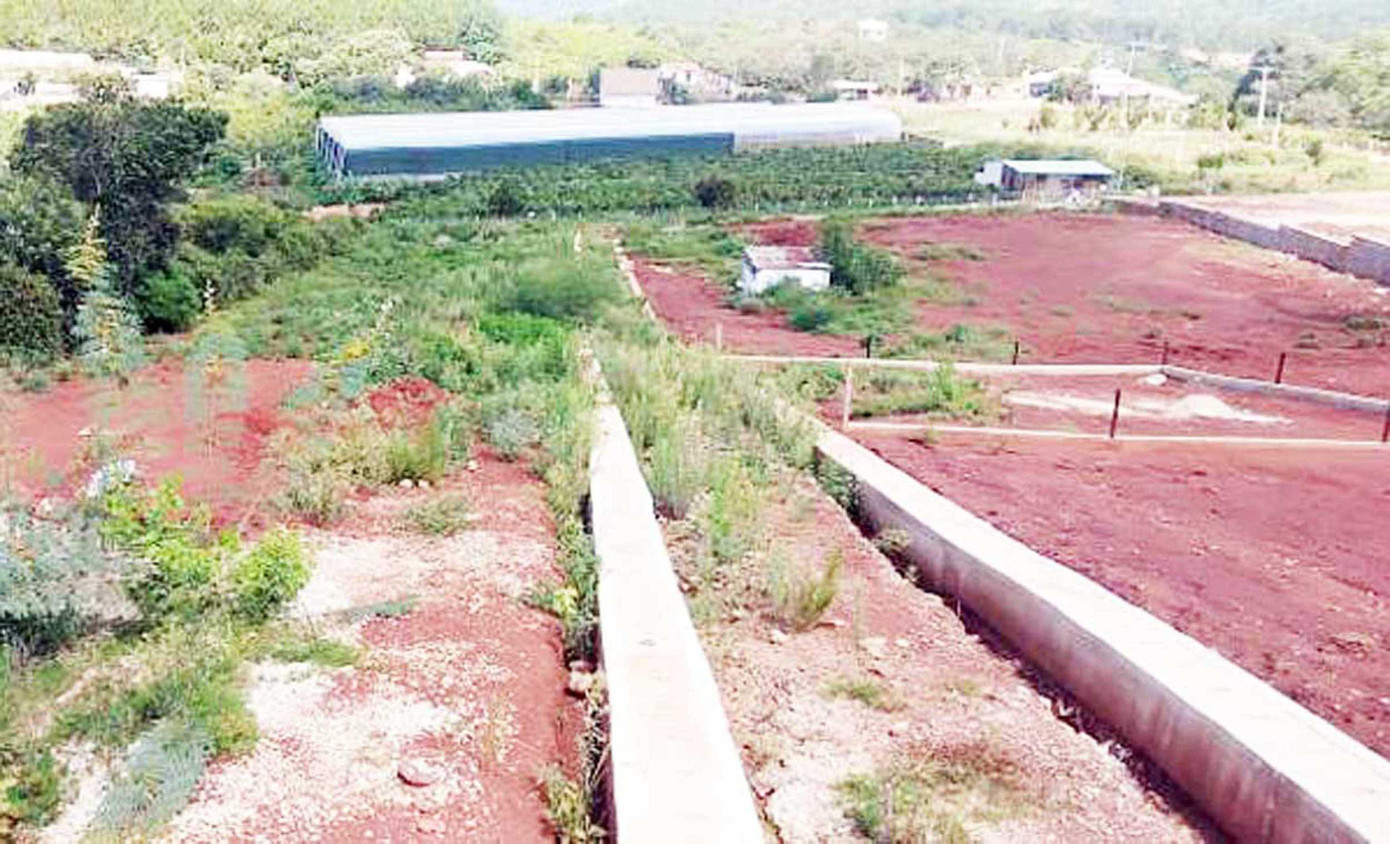 Liên phân lô, bán nền khu đất nông nghiệp tại TP.Đà Lạt