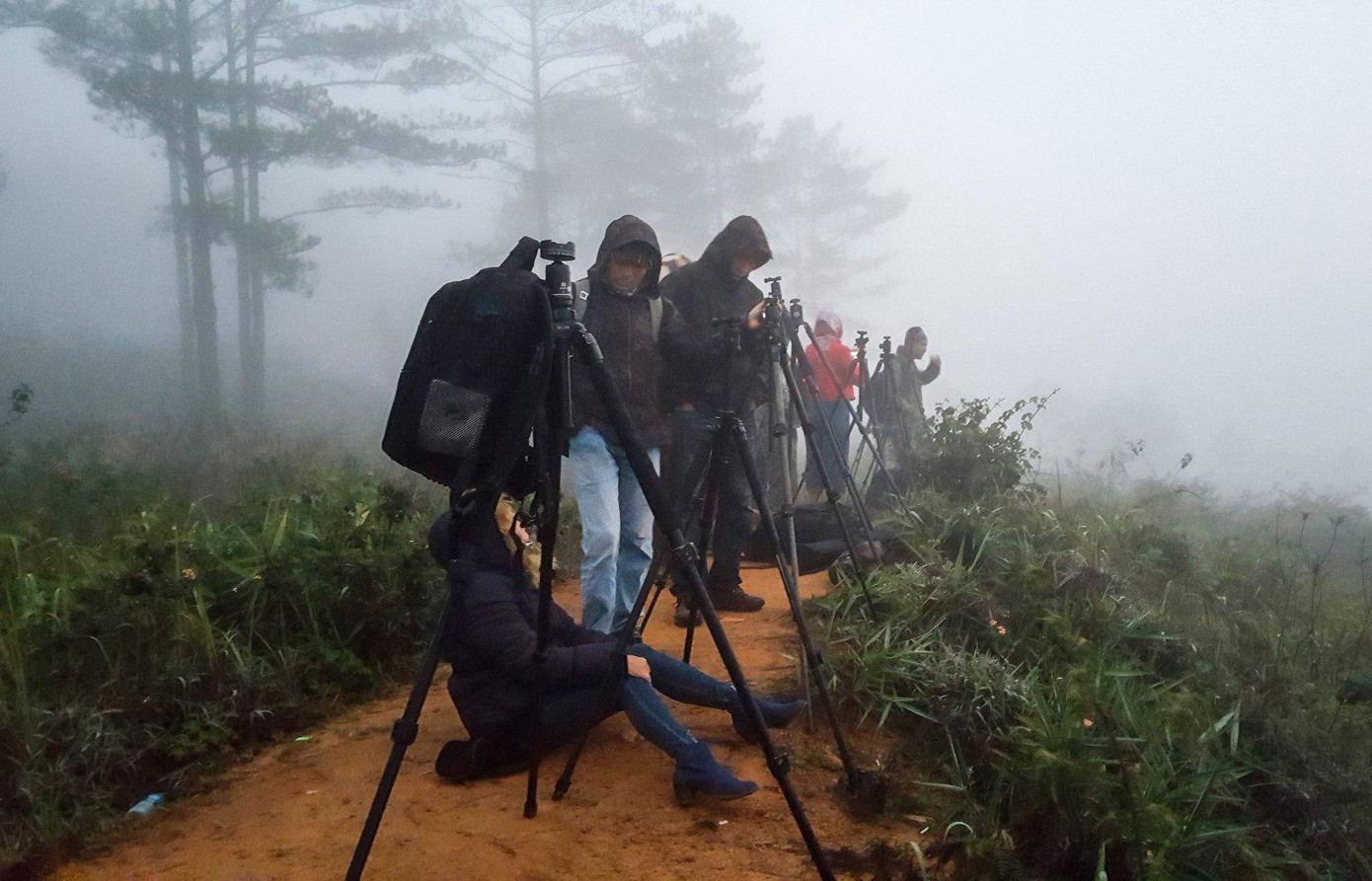 Theo dấu vết chim từ lúc trời mờ sương. Ảnh: Võ Trang Theo dấu vết chim từ lúc trời mờ sương. Ảnh: Võ Trang