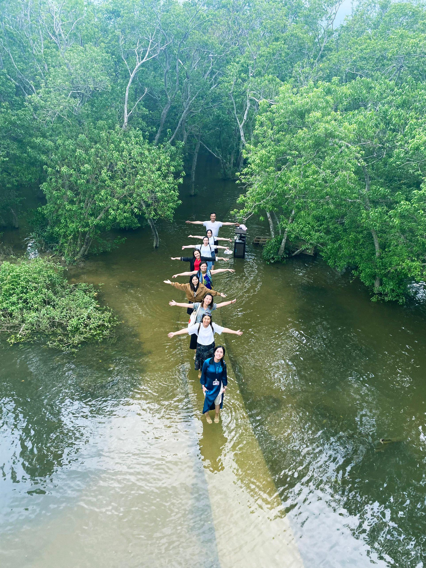 Rừng ngập mặn Rú Chá. Rừng ngập mặn Rú Chá.