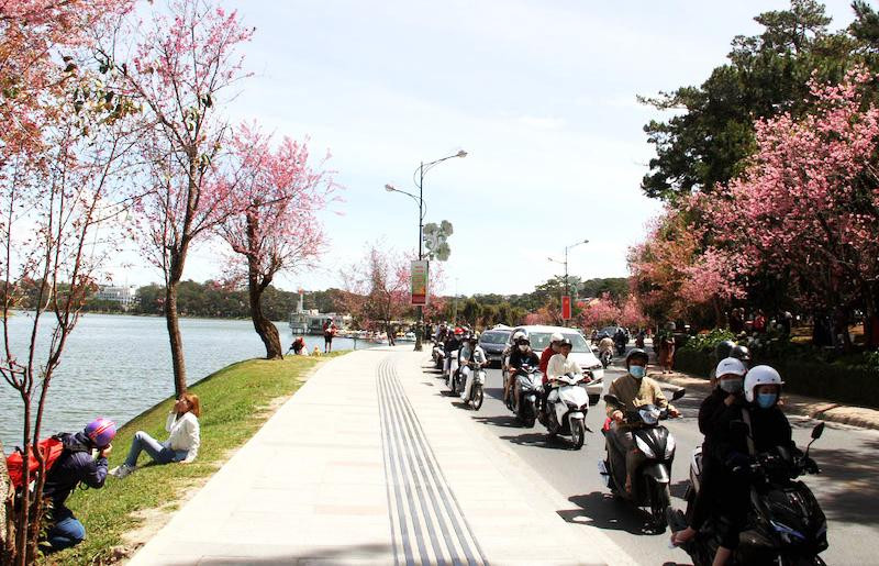 Xe ô tô 16 chỗ không được dừng đỗ bên phần đường tiếp giáp với hồ Xuân Hương