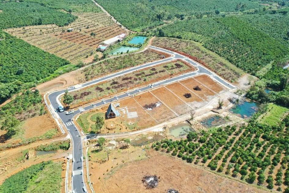 Một đồi chè ở TP Bảo Lộc bị phân lô. Một đồi chè ở TP Bảo Lộc bị phân lô.