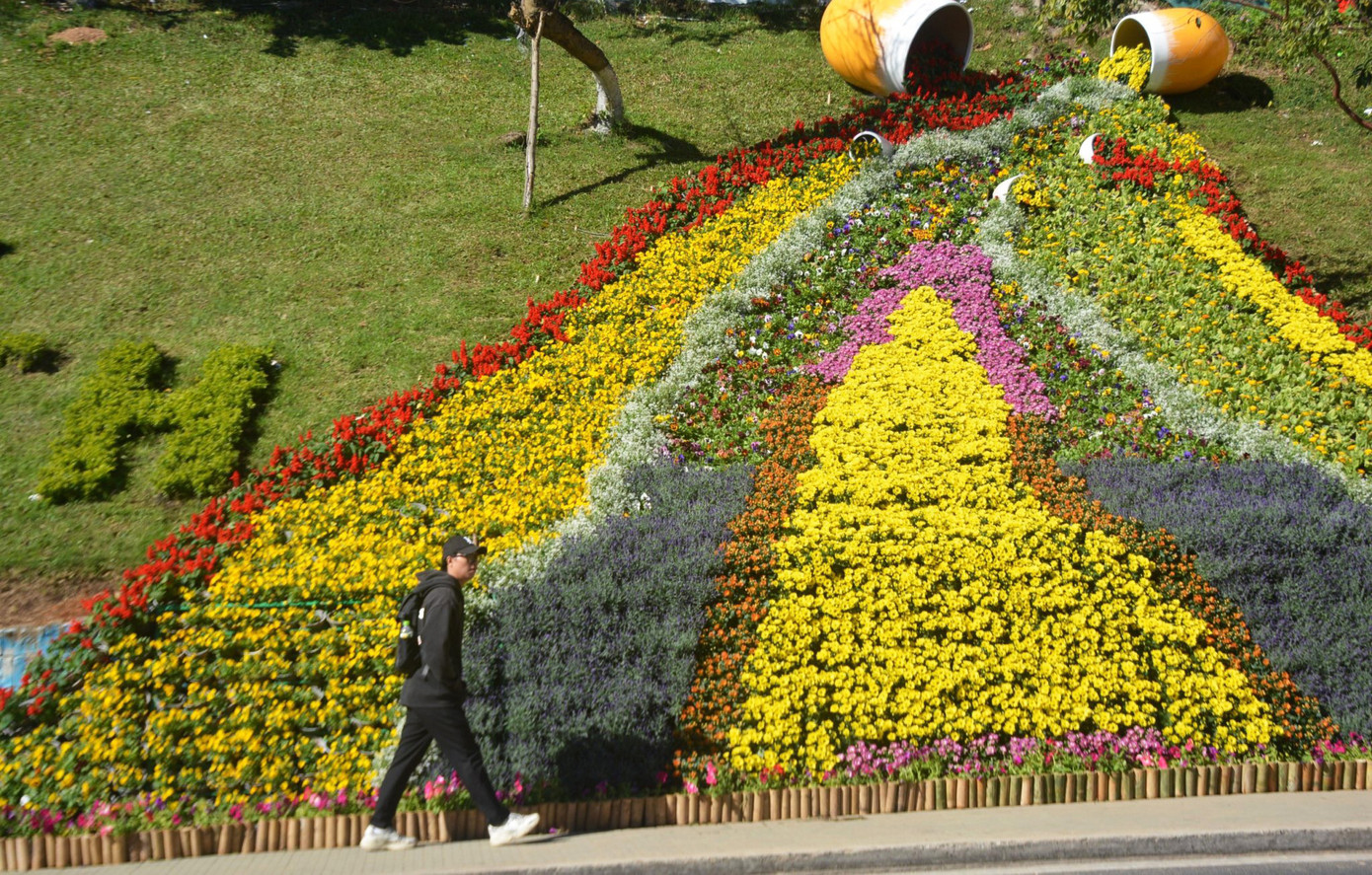 Suối hoa ven đường Lê Đại Hành. Suối hoa ven đường Lê Đại Hành.