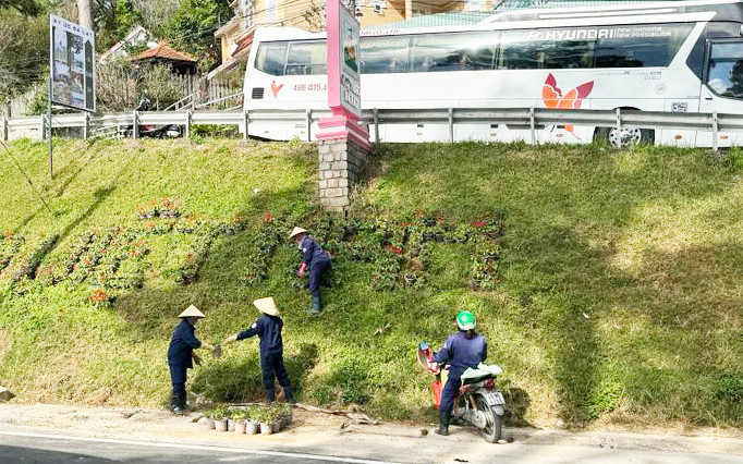 Công nhân trồng hoa làm đẹp ta luy ven đèo