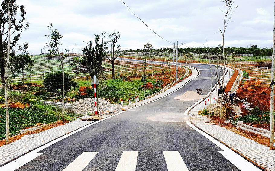 Mở đường giao thông, phân lô tràn lan các đồi chè Mở đường giao thông, phân lô tràn lan các đồi chè
