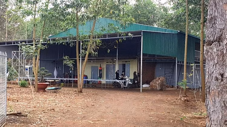Dựng nhà trái phép trên đất lâm nghiệp