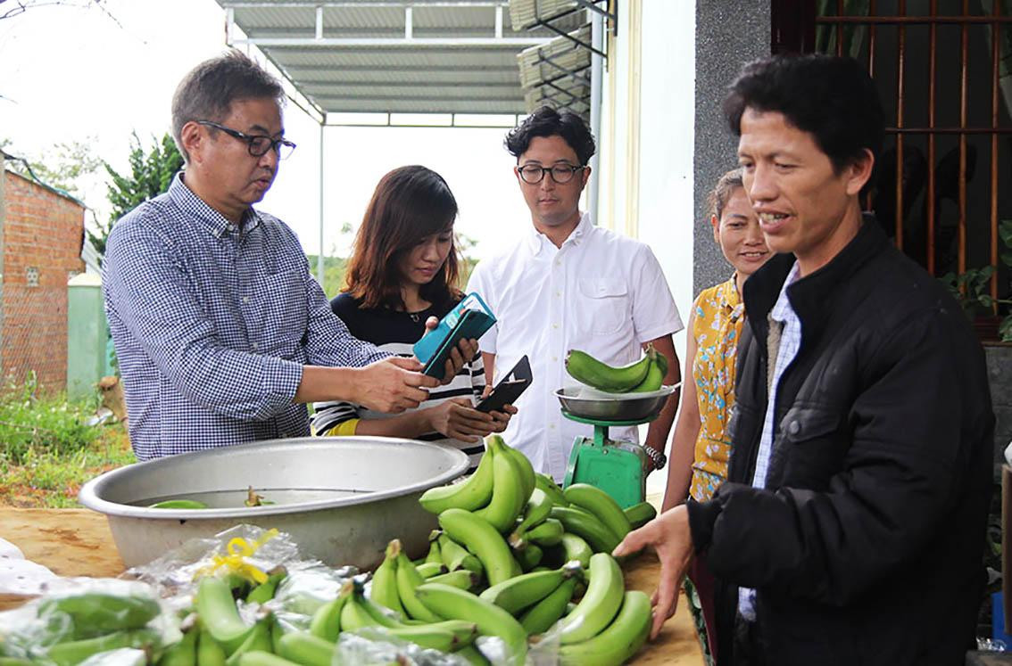 Các chuyên gia người NHật đến Đạ K' Nàng để thẩm định chất lượng chuối Laba