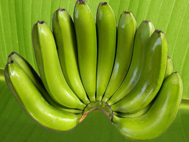 Nải chuối Laba trông rất bắt mắt
