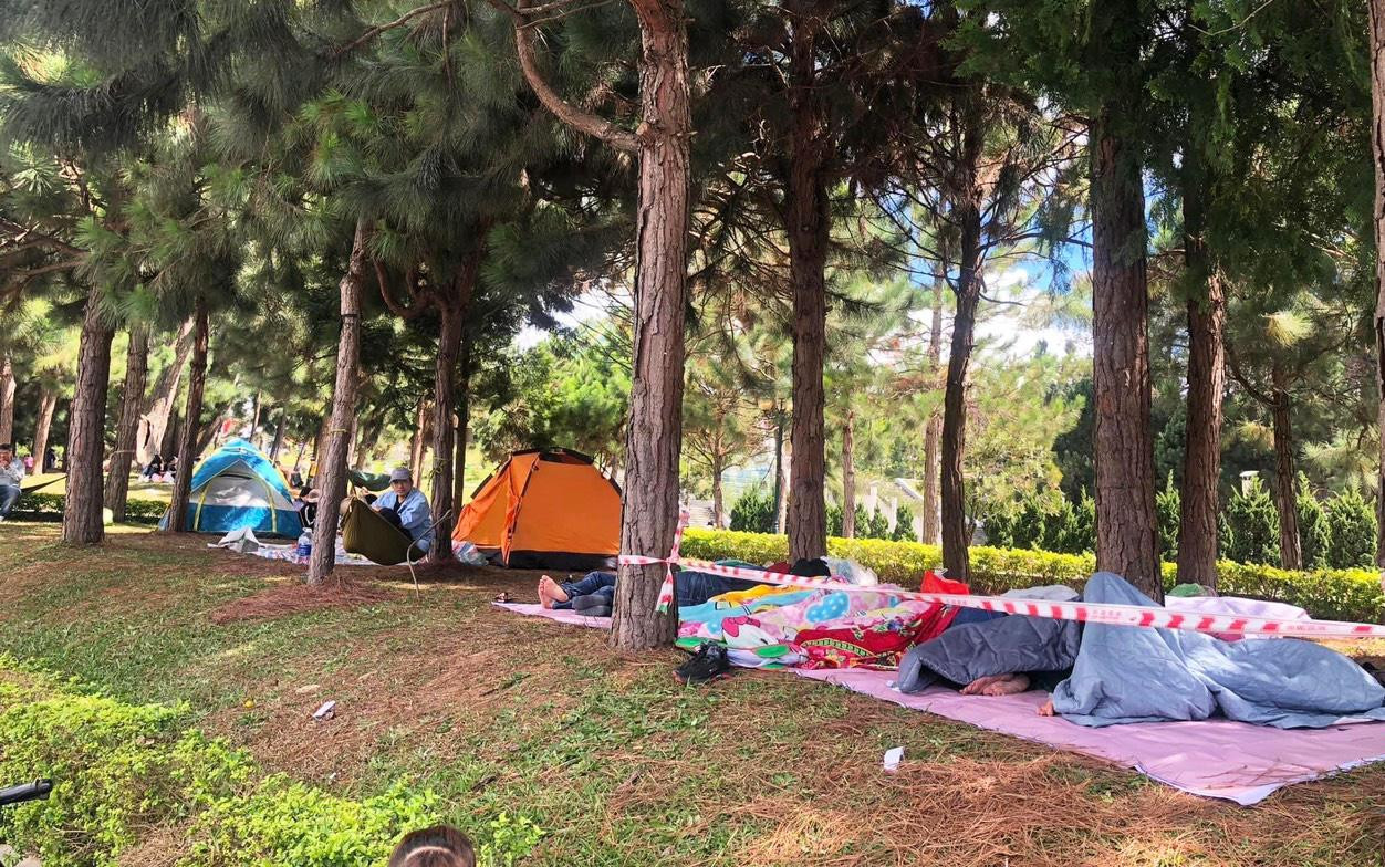 Du khách ngủ trên đồi thông Đà Lạt