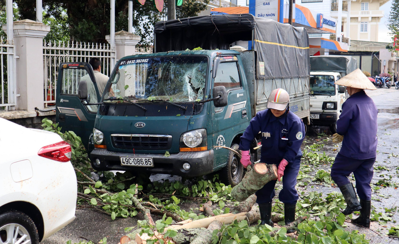 Thu dọn cây xanh ngã đổ ra đường