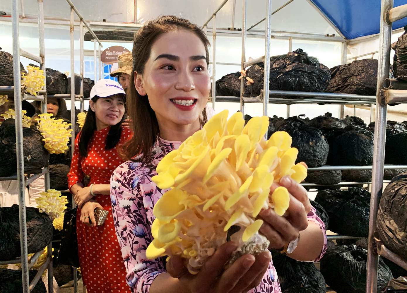 Làng nấm Đà Lạt thu hút nhiều du khách tham quan