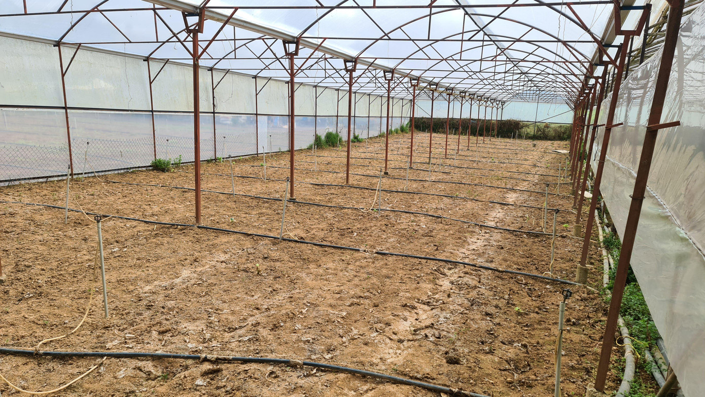 Nhà kính trồng rau ngưng sản xuất Nhà kính trồng rau ngưng sản xuất