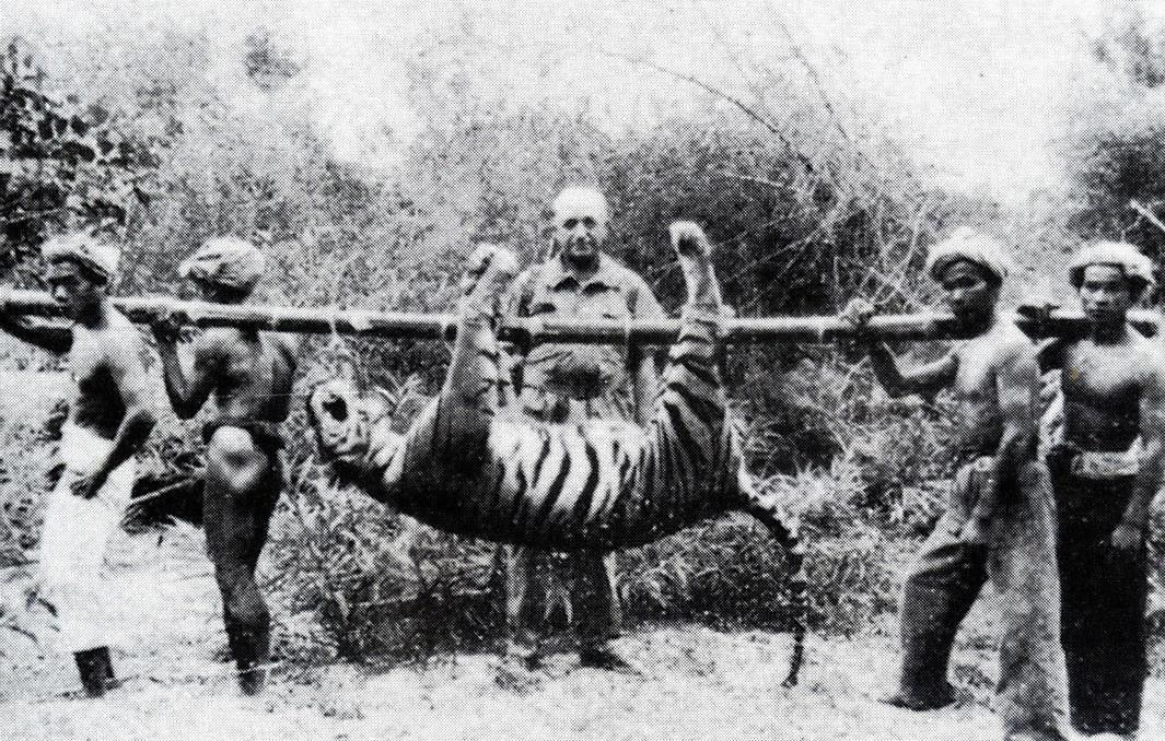 Bức ảnh săn cọp ở Đà Lạt thuở trước Bức ảnh săn cọp ở Đà Lạt thuở trước