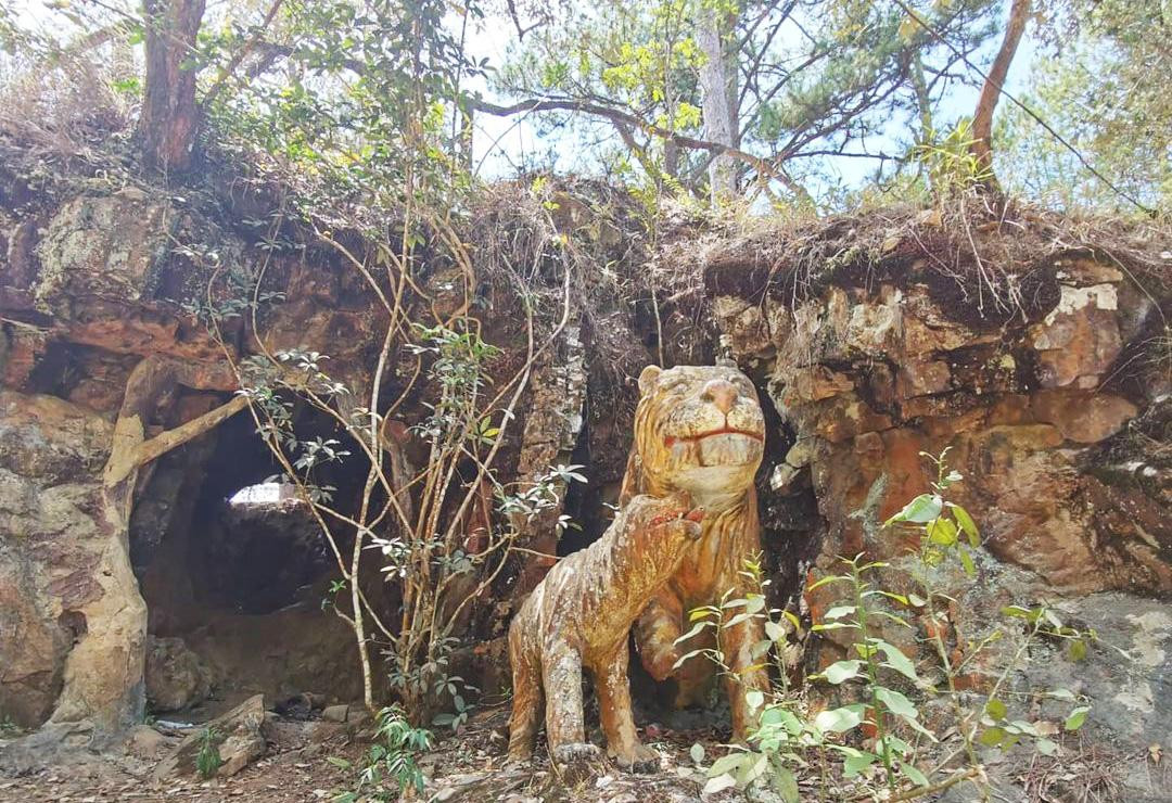 Cửa hang cọp Cửa hang cọp