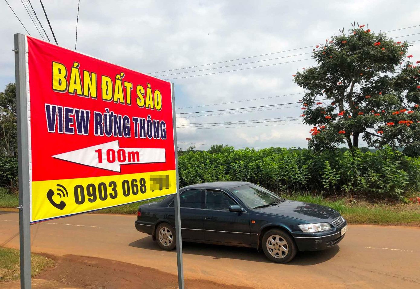 Quảng cáo mua bán đất ở ranh rừng thông TP Bảo Lộc Quảng cáo mua bán đất ở ranh rừng thông TP Bảo Lộc