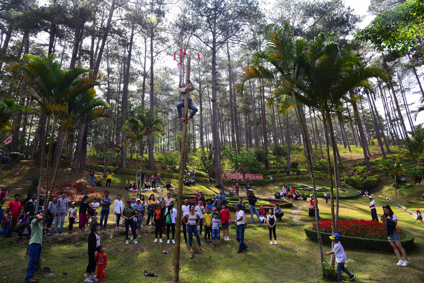 Trò chơi leo cột mỡ tại Khu du lịch thác Prenn.