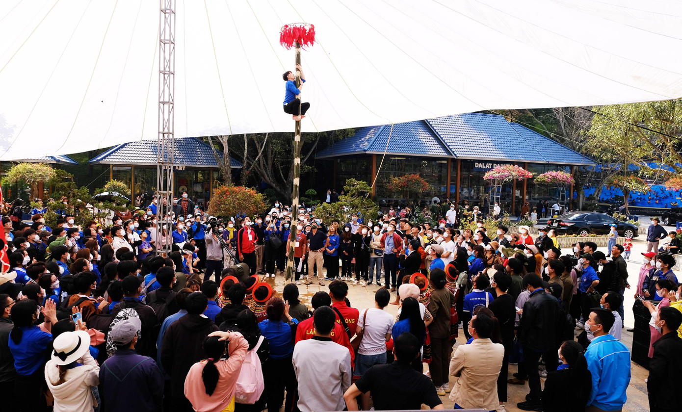 Hội thi leo cột mỡ