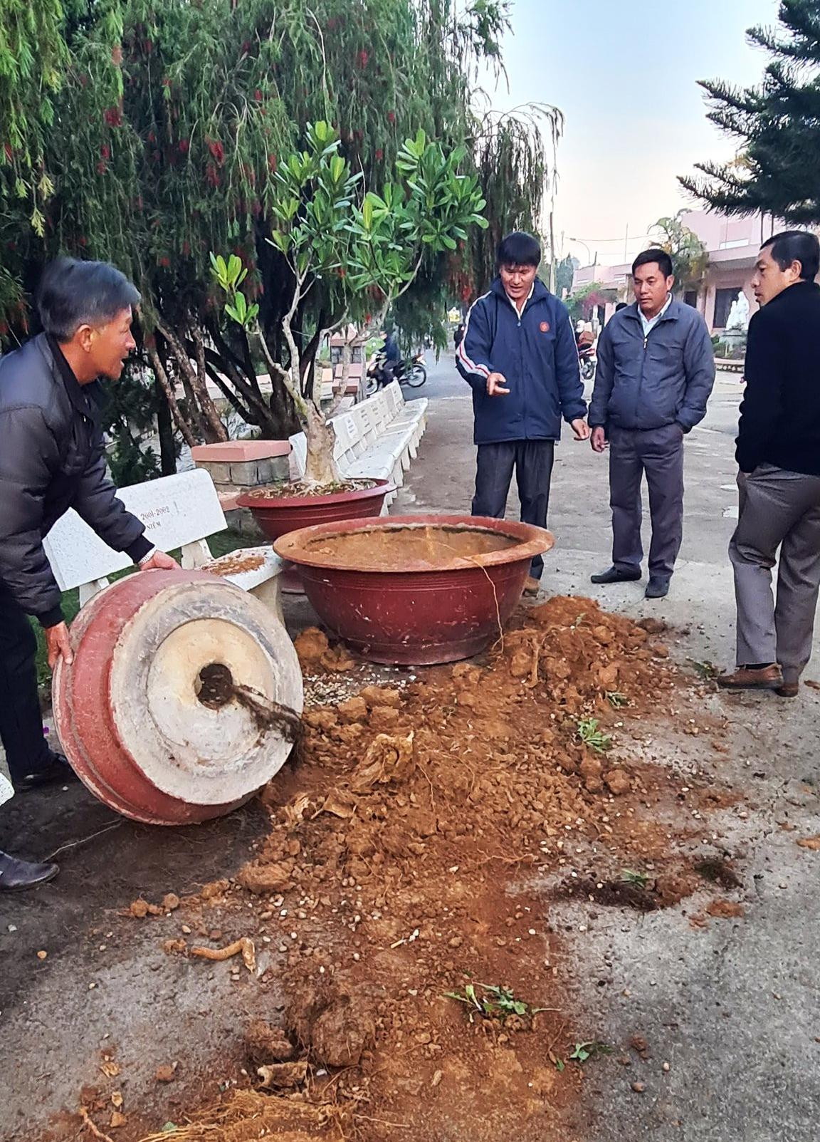 Hiện trường vụ trộm cây kiểng tại nhà thờ