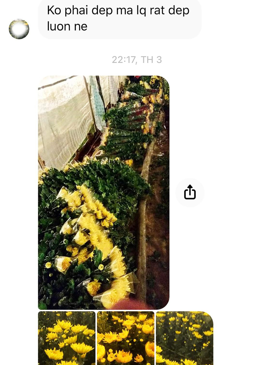 P.T.H gửi ảnh vườn cúc đẹp cho bà H. rồi giục chuyển khoản tiền P.T.H gửi ảnh vườn cúc đẹp cho bà H. rồi giục chuyển khoản tiền