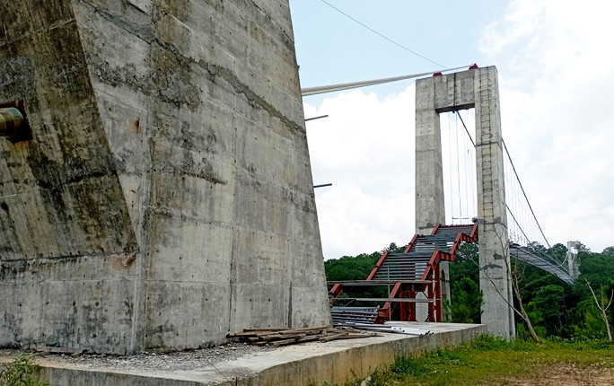Rêu bám đầy trên trụ cầu và một số vị trí khác trên cầu Rêu bám đầy trên trụ cầu và một số vị trí khác trên cầu