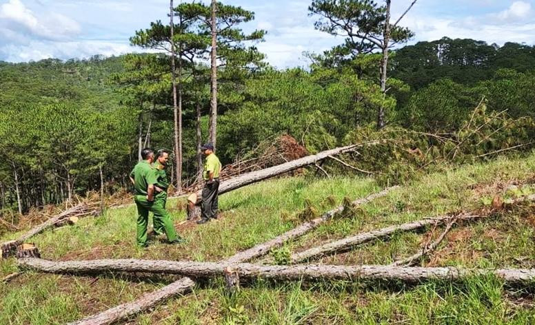 Lực lượng chức năng tiếp tục khám nghiệm hiện trường