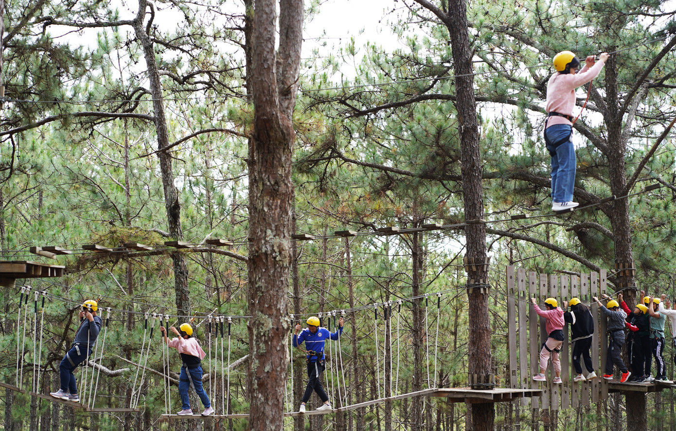 Nhiều bạn trẻ thích thú với trò chơi thể thao high rope course Nhiều bạn trẻ thích thú với trò chơi thể thao high rope course
