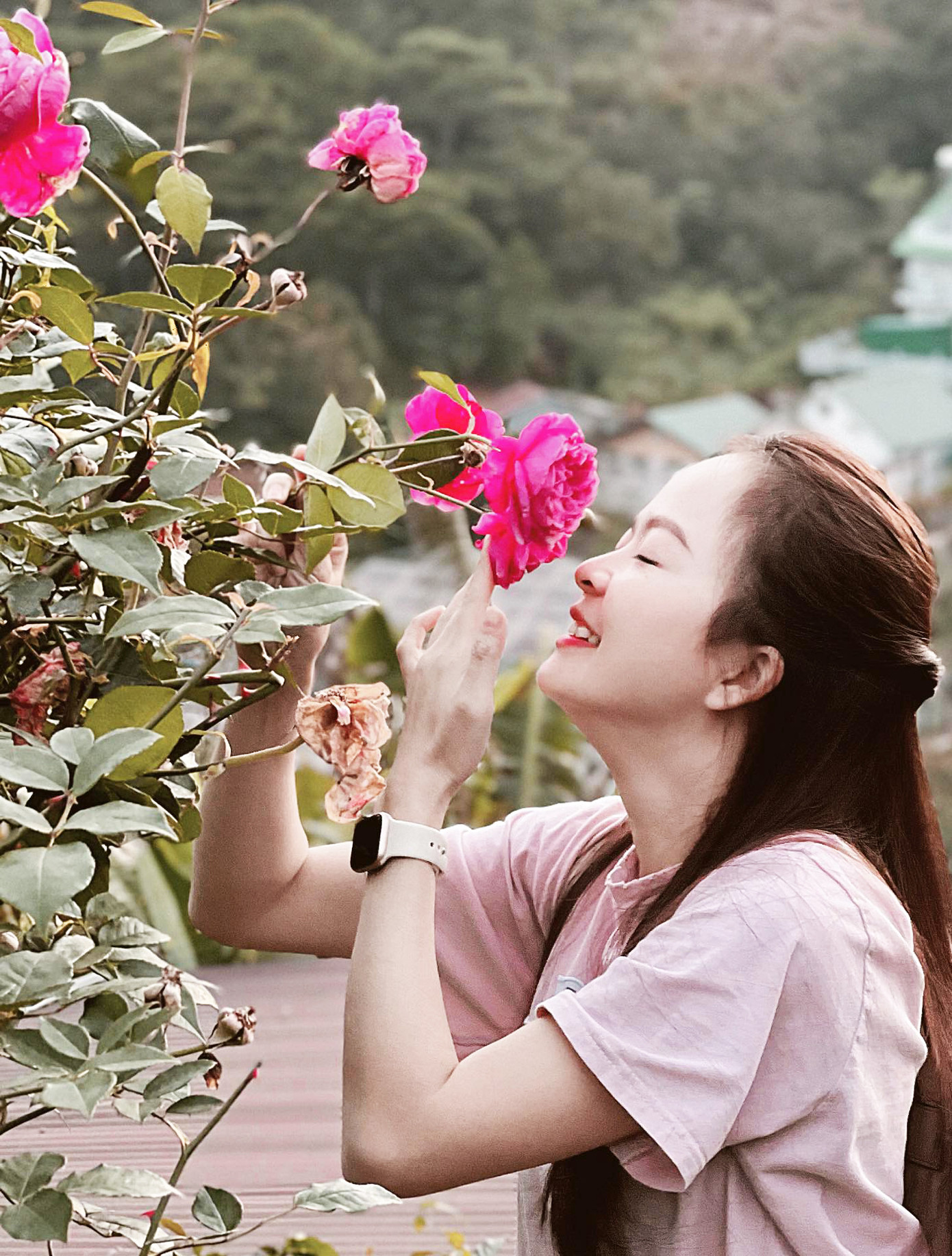 Hoa hồng không chỉ đẹp mà còn thơm