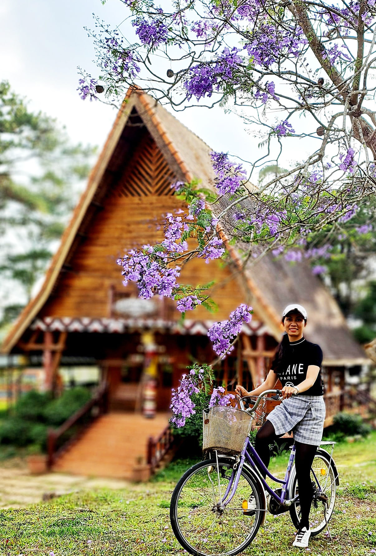 Du khách ghi lại khoảnh khắc đẹp bên nếp nhà sàn và nhành phượng tím