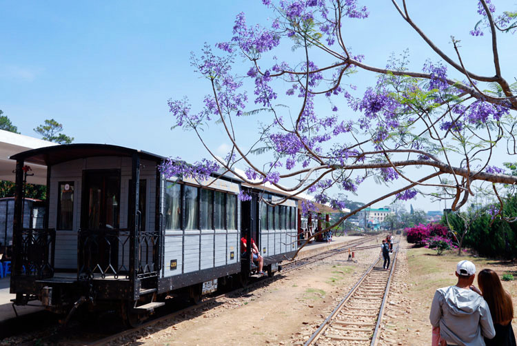 Các bạn trẻ chụp ảnh tại ga Đà Lạt