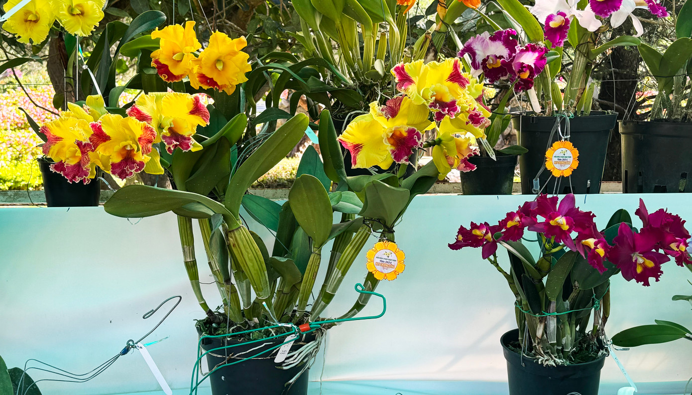 Một số tác phẩm đạt Huy chương đồng