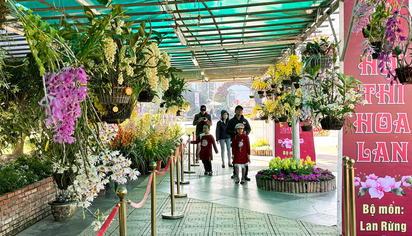 Khu vực trưng bày các tác phẩm lan rừng dự thi