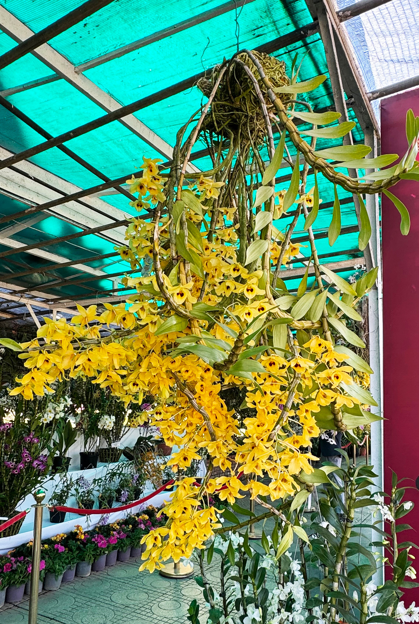 Tác phẩm đạt Huy chương bạc