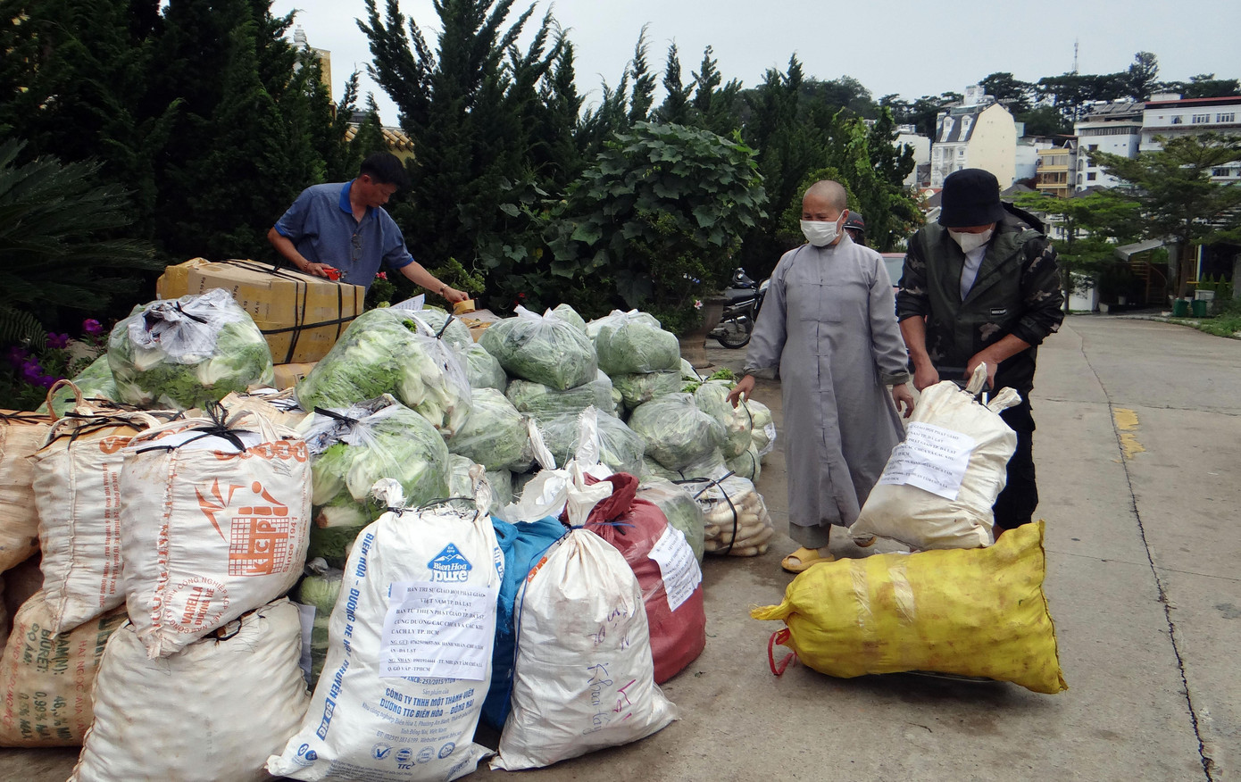 Tập kết rau tại Đà Lạt