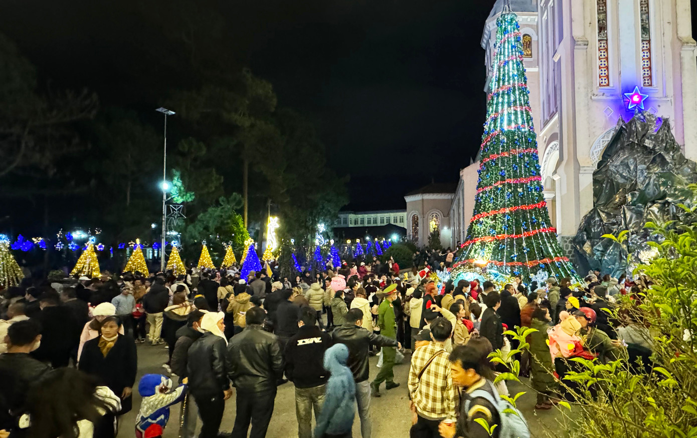 Nhiều người chiêm ngưỡng cây thông Noel và hang đá ở nhà thờ Con Gà.