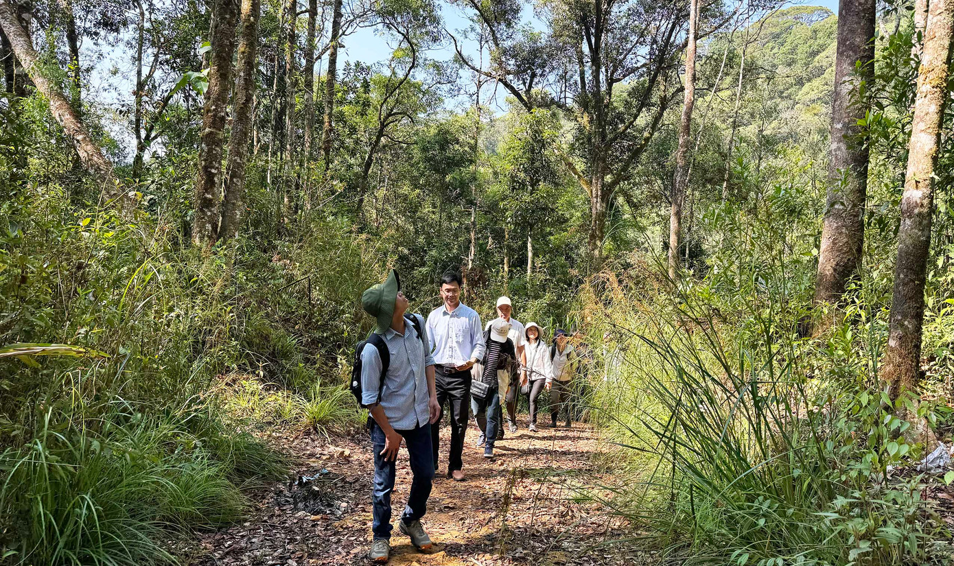 Nhiều người thích trekking trong rừng nguyên sinh.