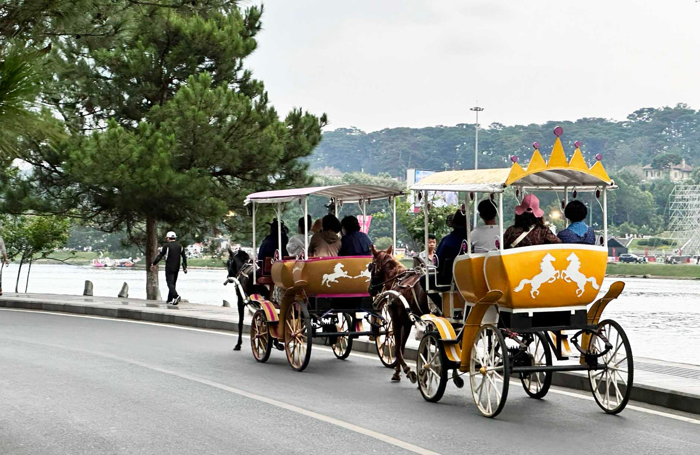 Đi xe ngựa ngắm cảnh ở trung tâm TP Đà Lạt.